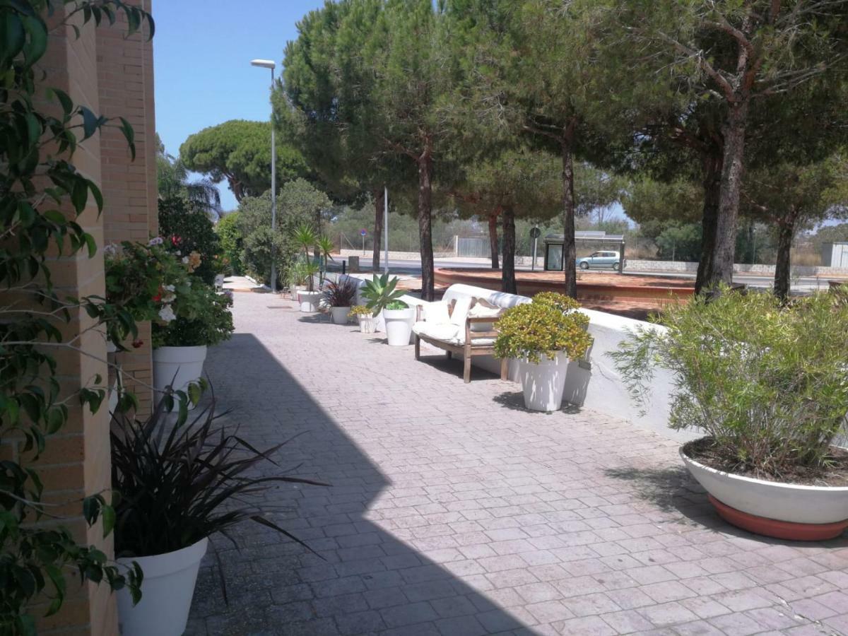Hotel Marisma Sancti Petri Чиклана де ла Фронтера Екстериор снимка